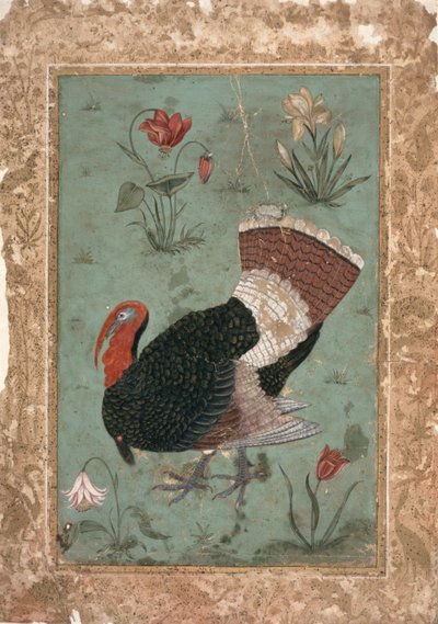 Türkei, Mughal (Farbe auf hellgrünem Grund) von Indian School